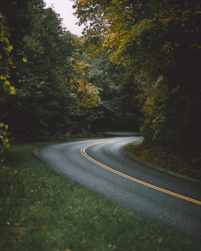 imagem de uma estrada sinuosa numa floresta