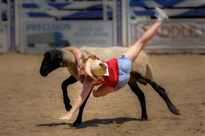 menina participando de um rodeio de montar em ovelha. ela esta montada de lado.